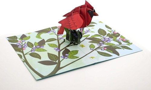 Biglietto pop cardinale 3d - biglietto,